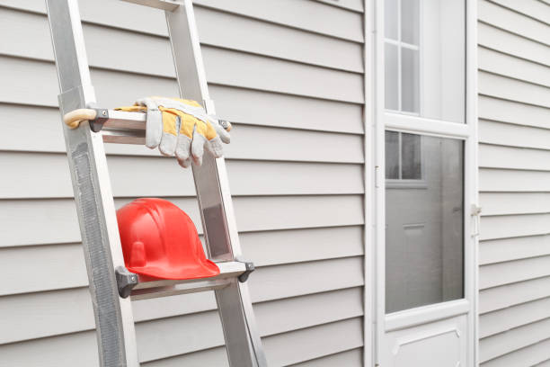 Best Custom Trim and Detailing for Siding  in Roseville, MI