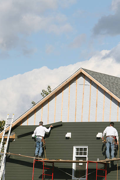 Best Historical Building Siding Restoration  in Roseville, MI