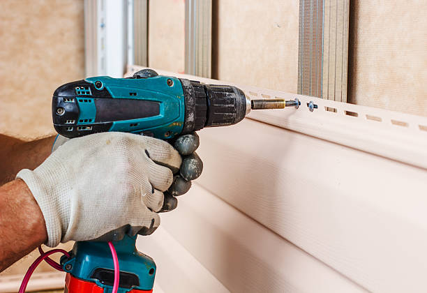 Best Custom Siding Design  in Roseville, MI