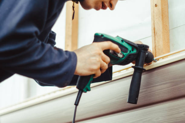 Best Siding Maintenance  in Roseville, MI